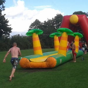 Buikschuiven Jungle