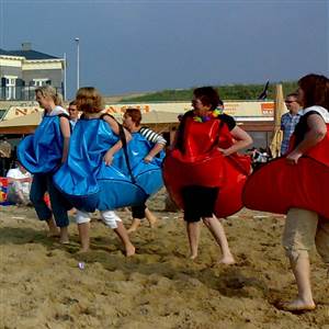 Rokjes Bal - Norm. (set:2x4)