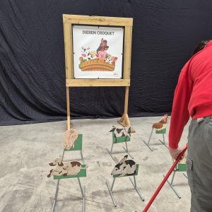 Dieren Croquet