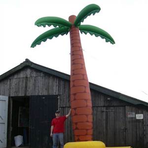 Palm
